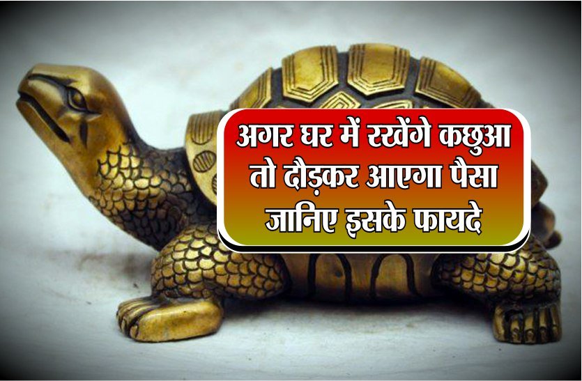 जानें कछुए को घर में कहाँ रखे ?