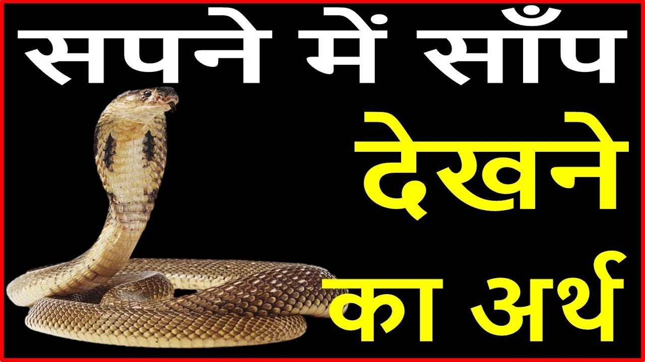 सोते समय दिखते है सपने में सांप,तो जानें इसके ज्योतिष उपाय