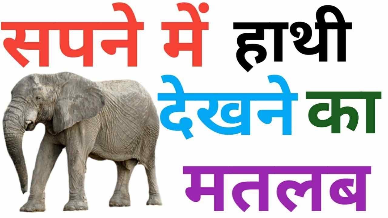 सपने में देखते है हाथी तो जानें शुभ या अशुभ ?
