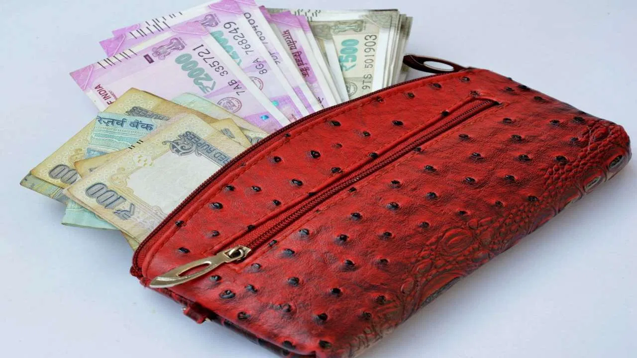 पर्स को पैसे से भरना चाहते तो करें  इन उपाय ?