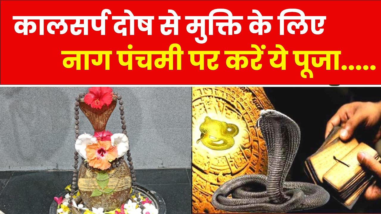 कालसर्प दोष से मुक्ति के लिए नाग पंचमी पर करें ये पूजा…..