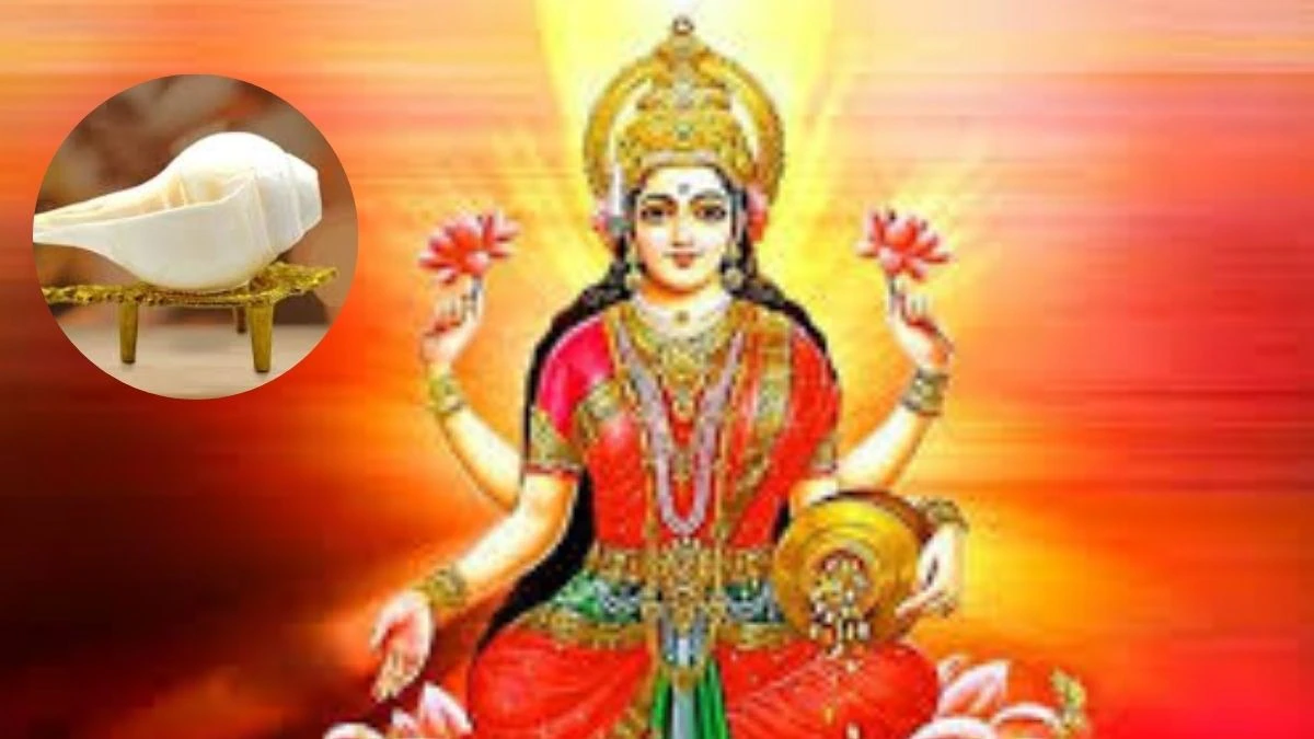 क्या आपके घर में शंख है? जानें, गलत रखने से क्यों रुठ जाती है लक्ष्मी!